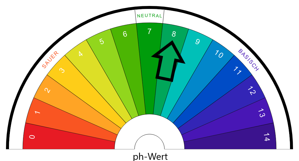 ELEFANT Istal Premium Duftreiniger 1000 ml Flasche
